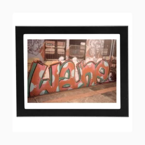 Wane 88 - Classic NYC Panel Peace | 80's Subway Series